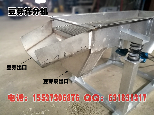 豆芽去皮司法局
