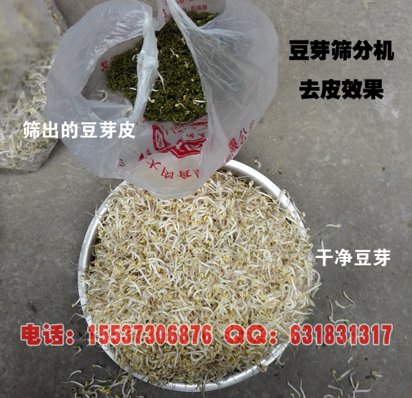 豆芽筛分机去皮效果